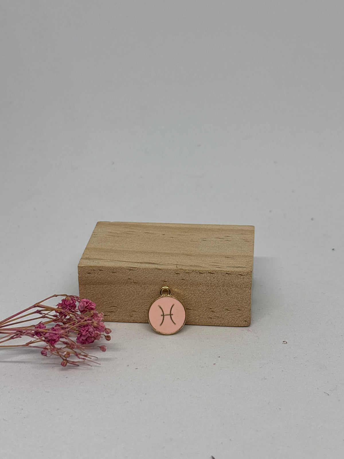 Breloque Signe Astrologique 1,3 cm – Acier inoxydable ✨