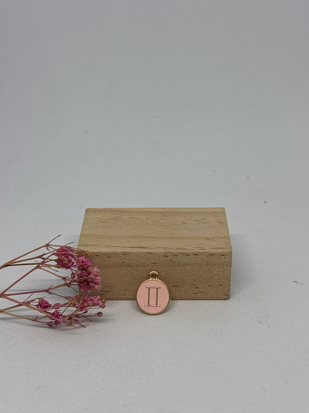 Breloque Signe Astrologique 1,3 cm – Acier inoxydable ✨