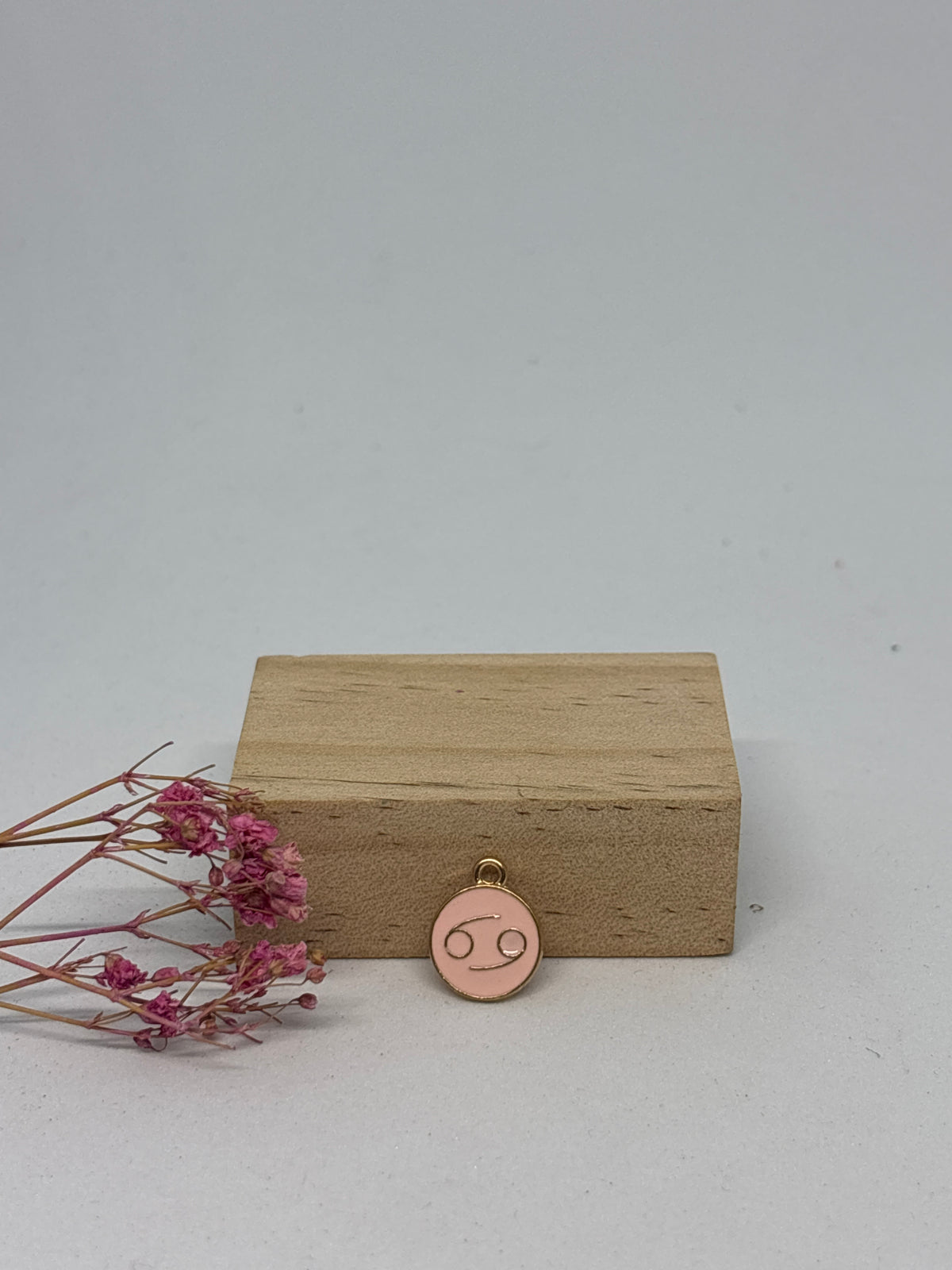 Breloque Signe Astrologique 1,3 cm – Acier inoxydable ✨