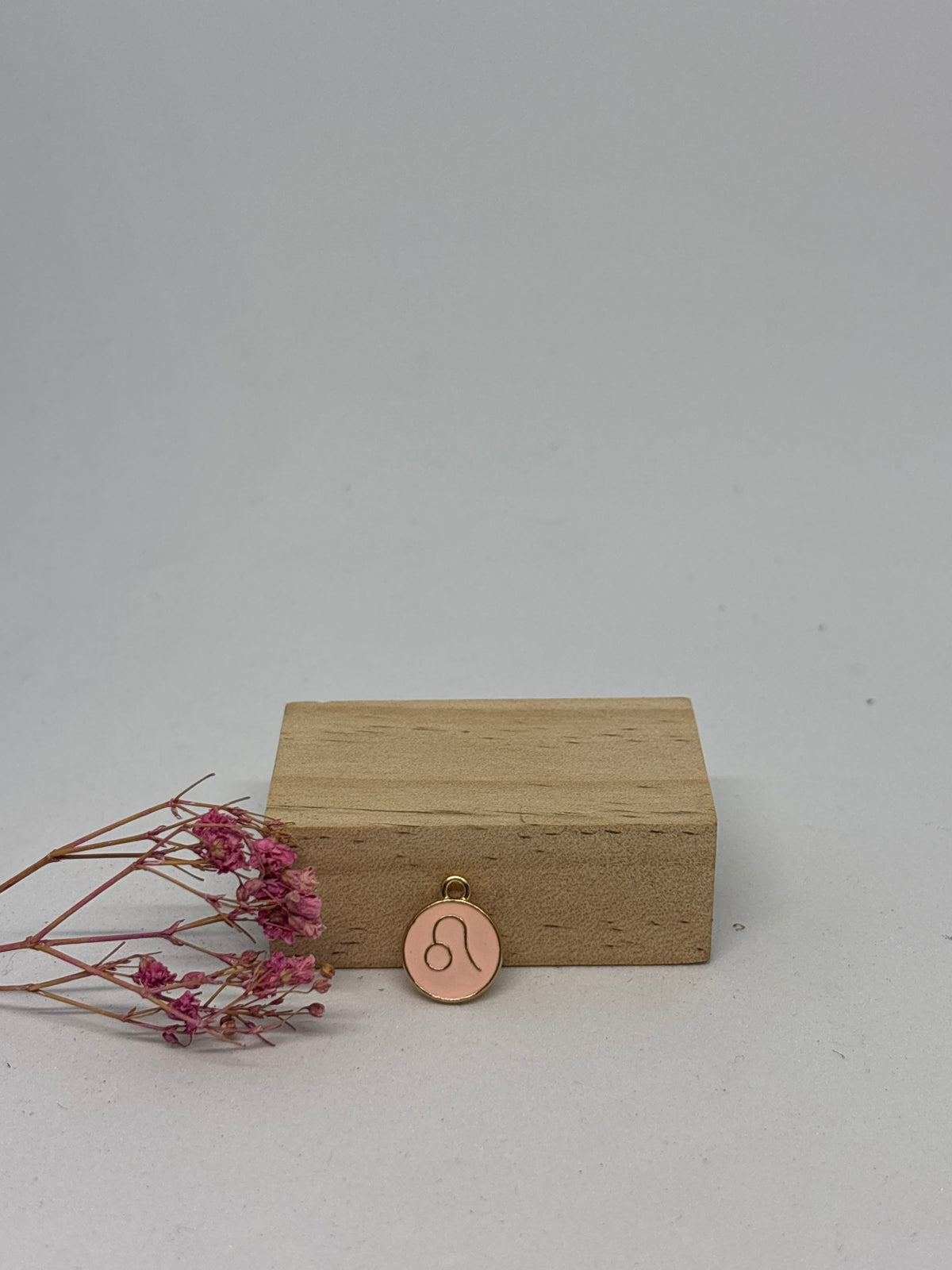Breloque Signe Astrologique 1,3 cm – Acier inoxydable ✨