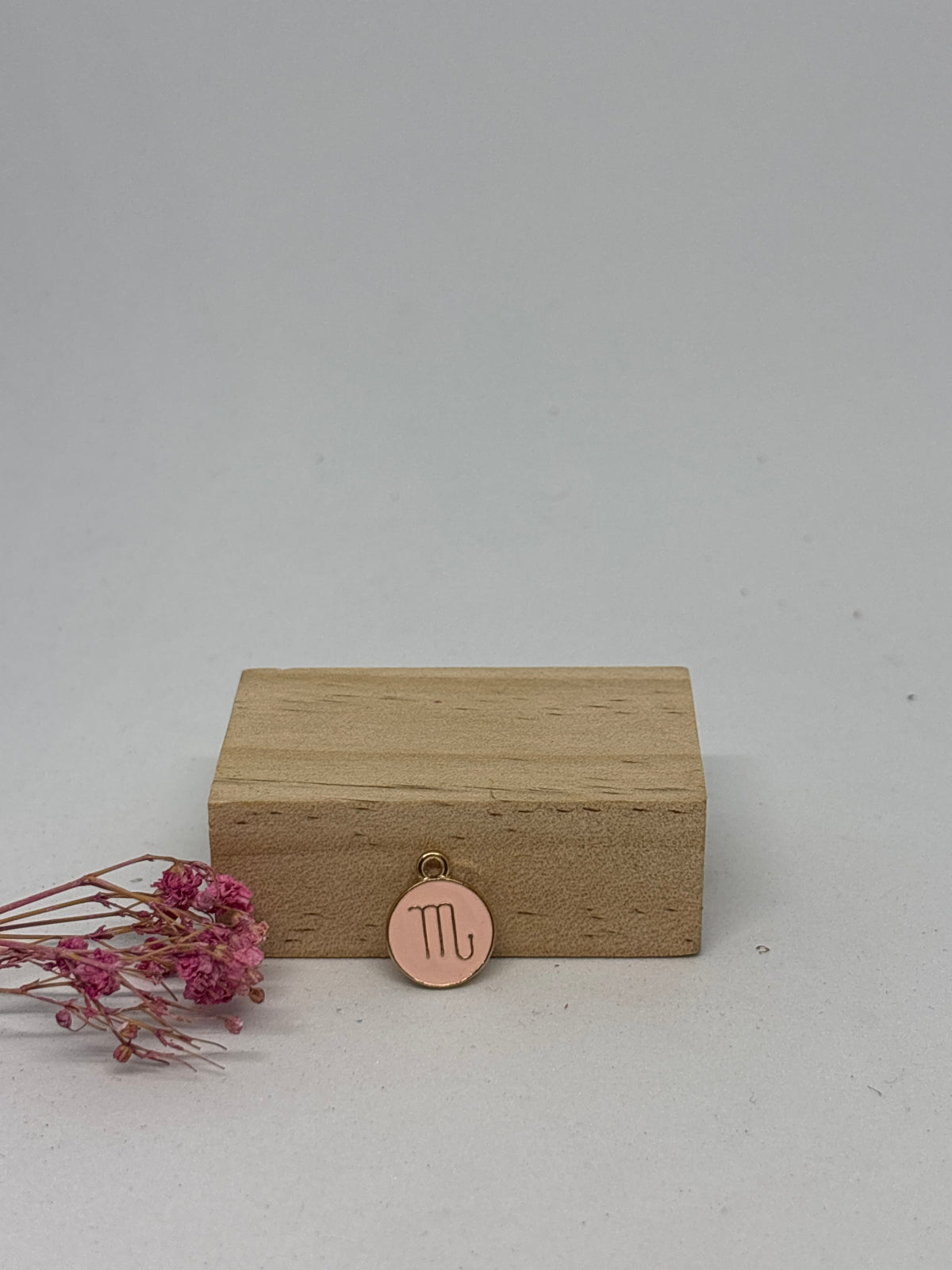 Breloque Signe Astrologique 1,3 cm – Acier inoxydable ✨