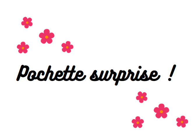 🎁 Pochette Surprise (100% off)